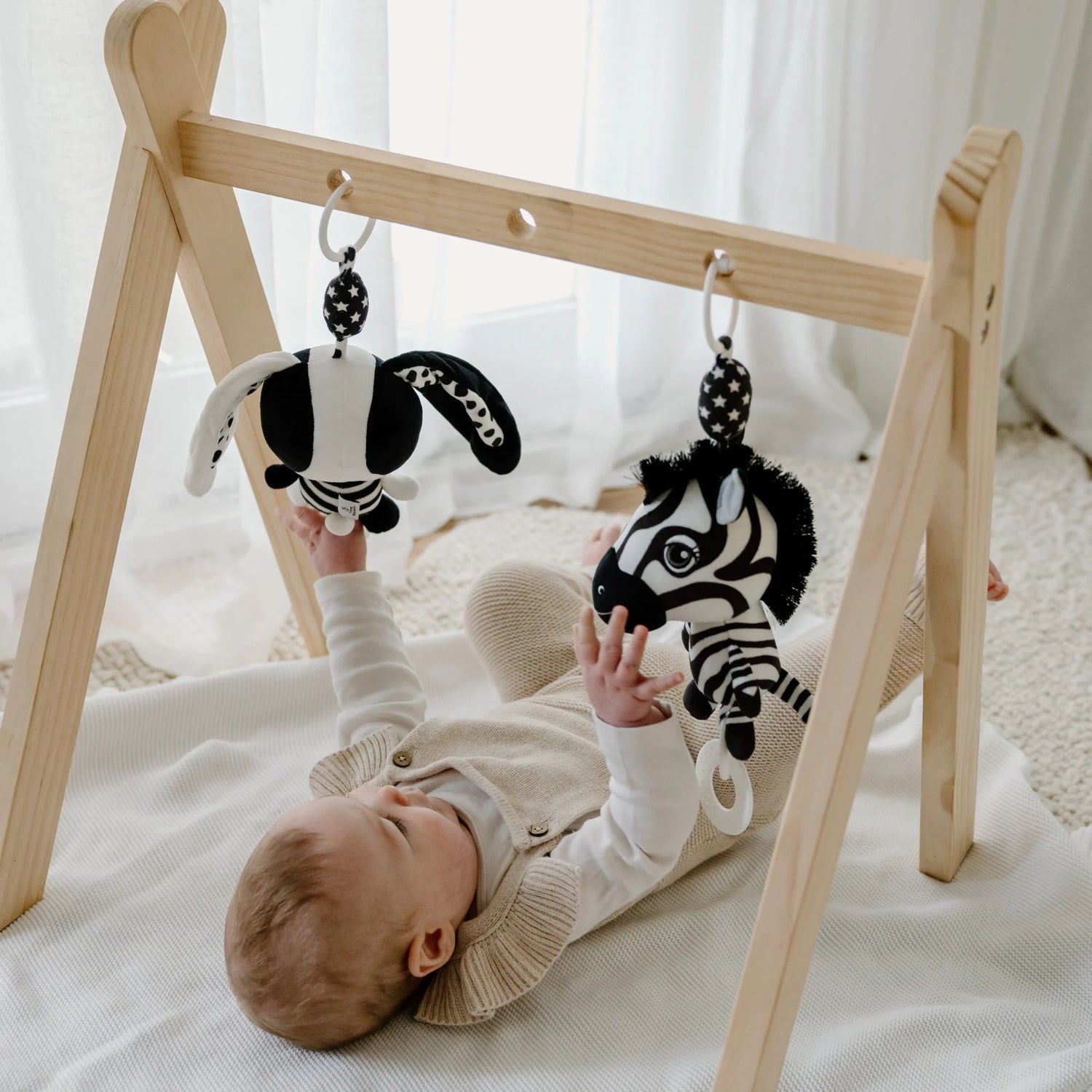 Young Wonderer High Contrast Hanging Pram Toy - Ziggy the Zebra