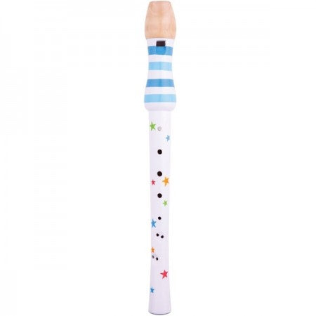 Bigjigs Recorder