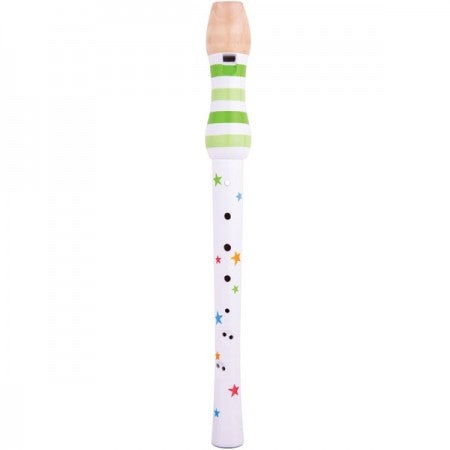 Bigjigs Recorder
