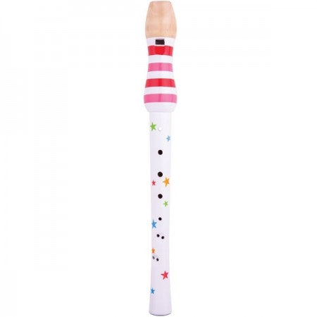 Bigjigs Recorder