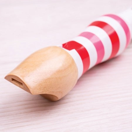 Bigjigs Recorder