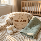 Timber Tinkers Hello world Teddy Bear