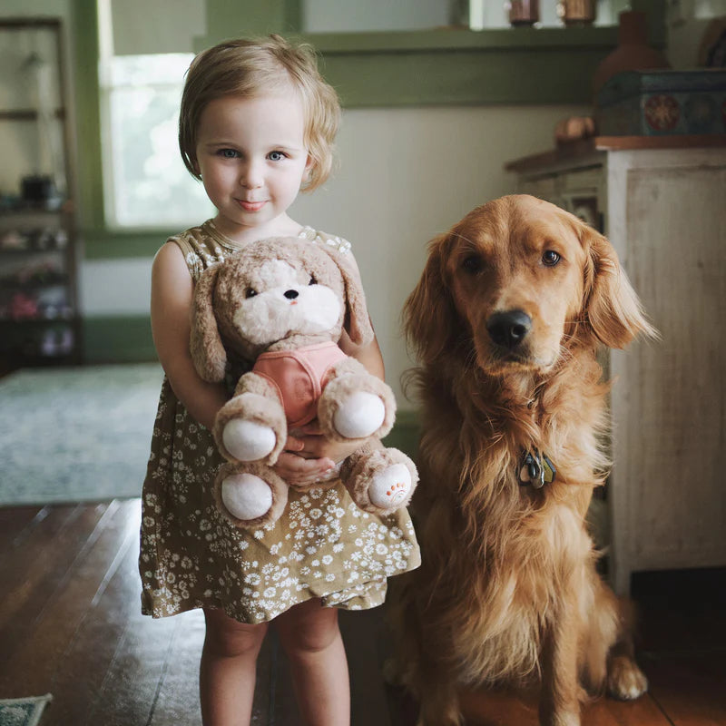 Dinkum Dolls Dinkum Dog - Honey