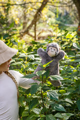 Nana Huchy Mani the Monkey - Hoochy Coochie