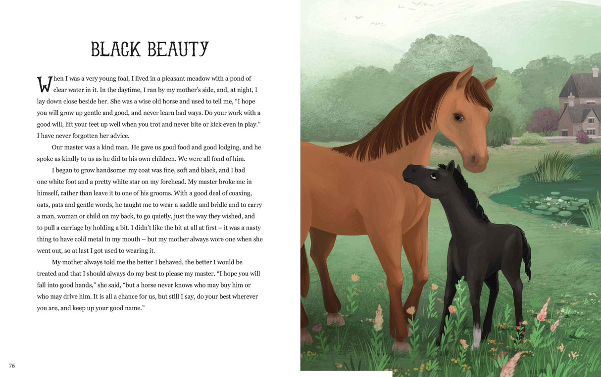 The Treasury of Cassic Stories Book