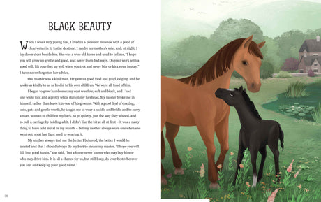 The Treasury of Cassic Stories Book