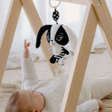 Young Wonderer Hello Little One! High Contrast Sensory Gift Set