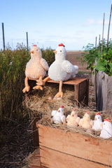 Nana Huchy Harriet the Hen Rattle - Honey