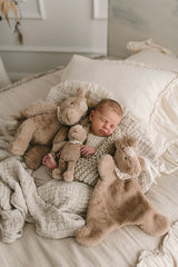 Nana Huchy Harvey the Horse Rattle
