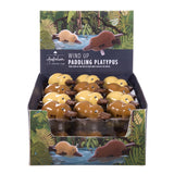 Wind Up Paddling Platypus