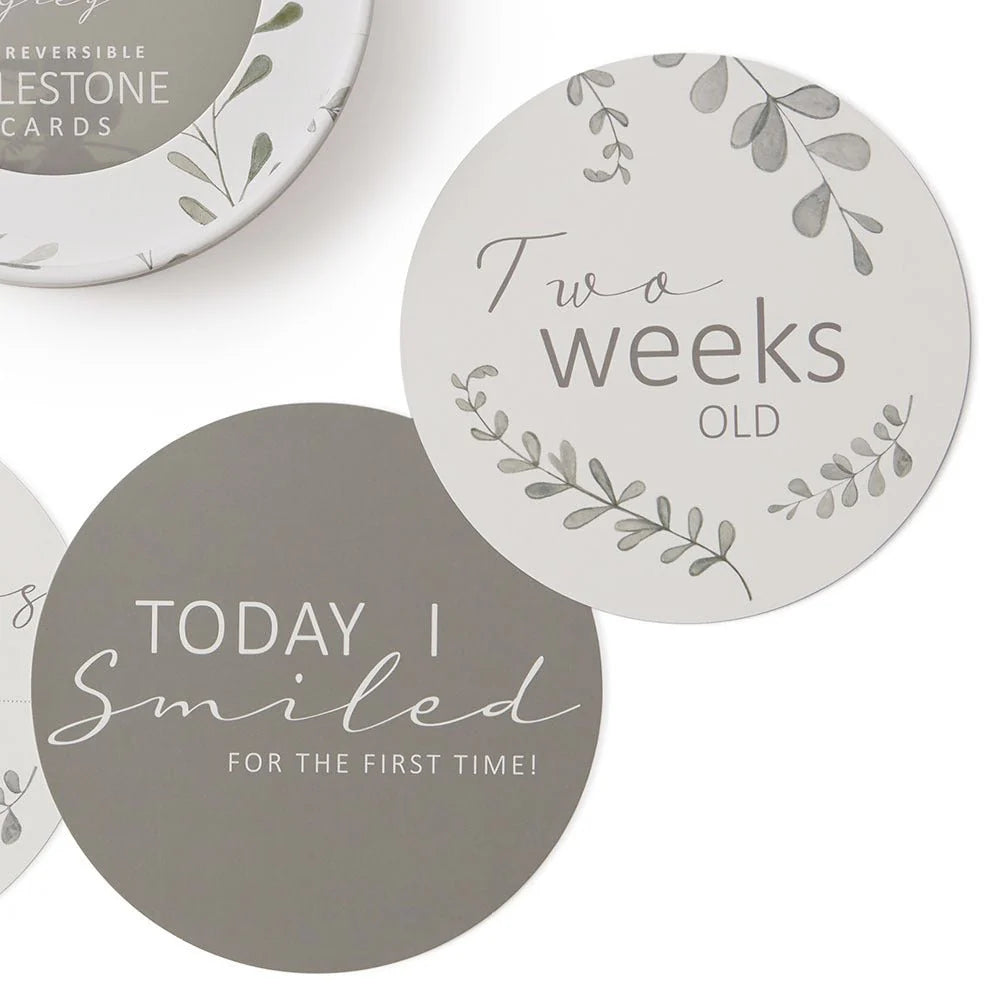 Snuggle Hunny Milestone Cards - Wild Fern & Grey