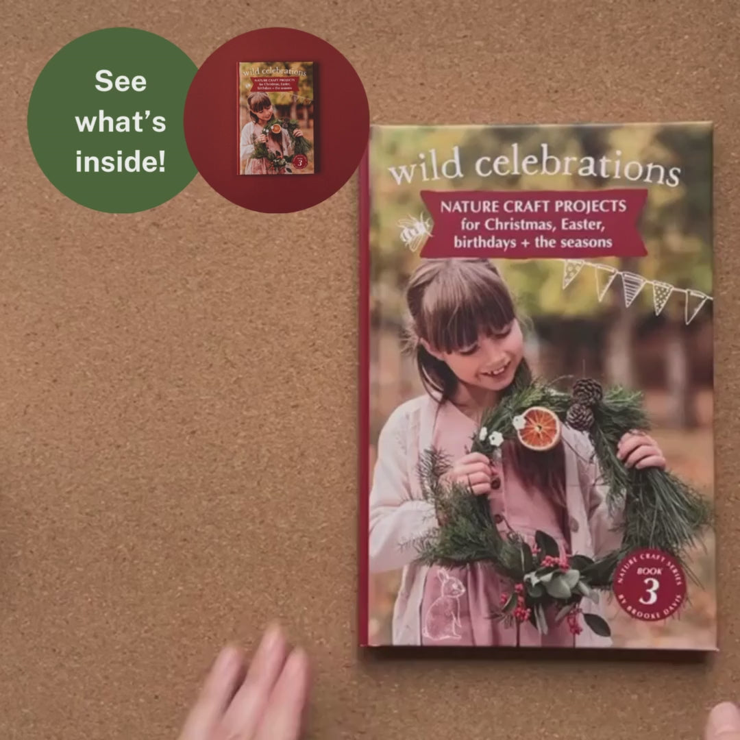 Your Wild - Wild Celebrations Book