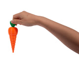 Discovery Zone Sensory Carrot