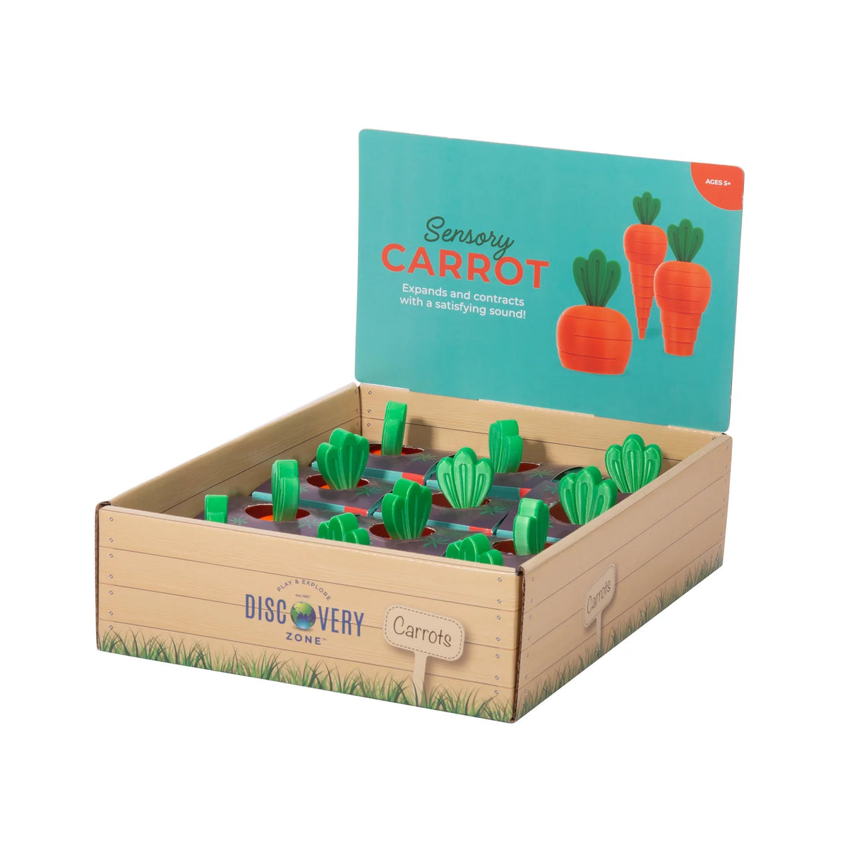 Discovery Zone Sensory Carrot