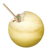 Planet Earth Dig - Small