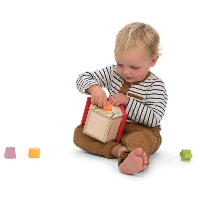 Petilou My Little House Shape Sorter