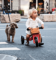 Raspberry Lane Boutique Kinderfeets Trike Crate