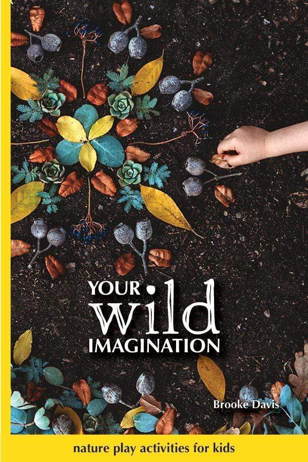 Raspberry Lane Boutique Your Wild Imagination - Hardcover Book